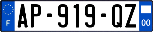 AP-919-QZ
