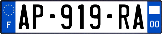 AP-919-RA