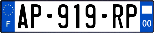 AP-919-RP