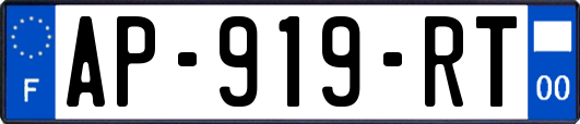 AP-919-RT