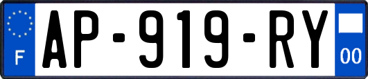 AP-919-RY