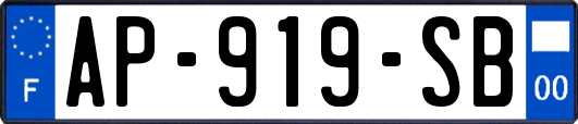 AP-919-SB