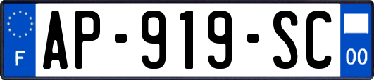 AP-919-SC