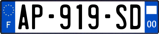 AP-919-SD