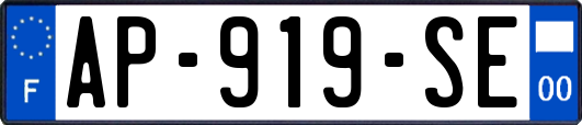 AP-919-SE