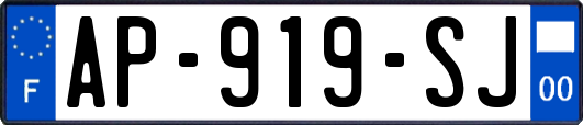 AP-919-SJ