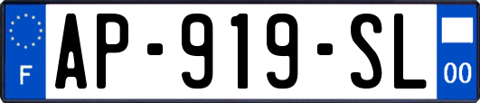 AP-919-SL