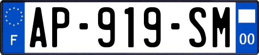 AP-919-SM
