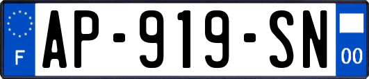 AP-919-SN