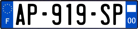 AP-919-SP