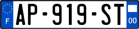 AP-919-ST