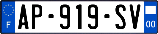 AP-919-SV