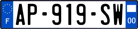 AP-919-SW