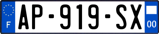AP-919-SX