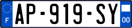 AP-919-SY