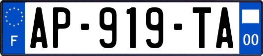 AP-919-TA
