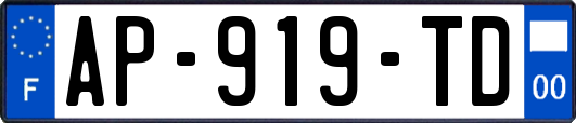 AP-919-TD