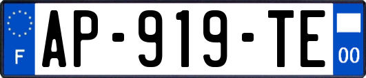 AP-919-TE