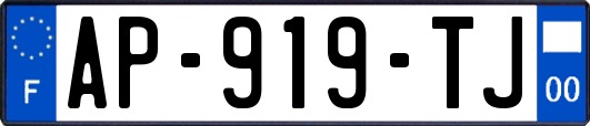 AP-919-TJ