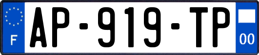 AP-919-TP