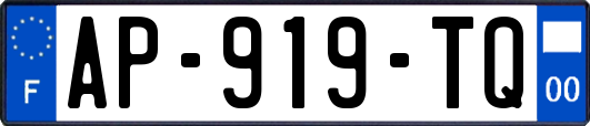 AP-919-TQ