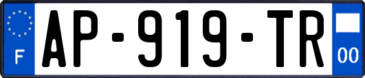 AP-919-TR