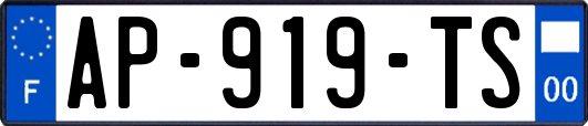 AP-919-TS