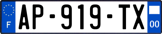 AP-919-TX