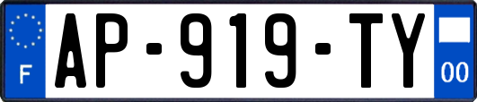 AP-919-TY