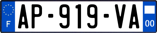 AP-919-VA