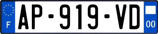 AP-919-VD