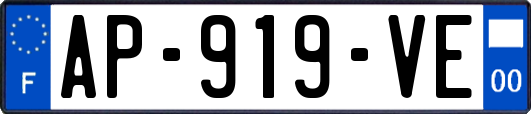 AP-919-VE