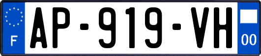 AP-919-VH