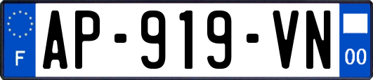 AP-919-VN