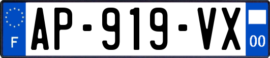 AP-919-VX