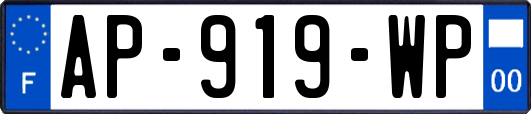 AP-919-WP