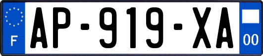 AP-919-XA