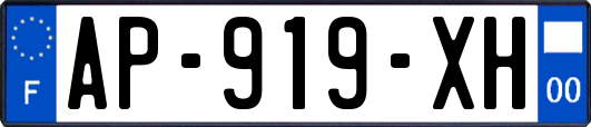 AP-919-XH