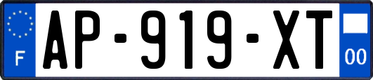 AP-919-XT