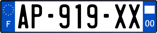 AP-919-XX