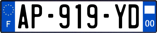 AP-919-YD