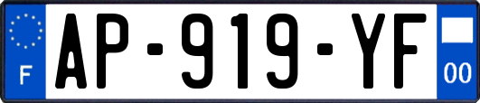AP-919-YF
