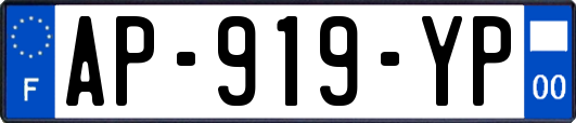 AP-919-YP