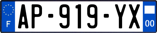 AP-919-YX