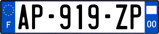 AP-919-ZP