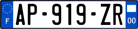 AP-919-ZR