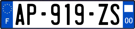 AP-919-ZS