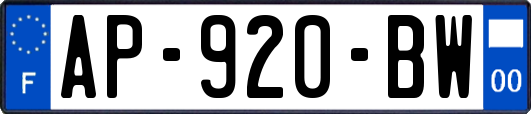 AP-920-BW