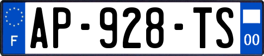AP-928-TS