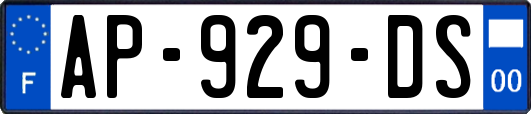 AP-929-DS